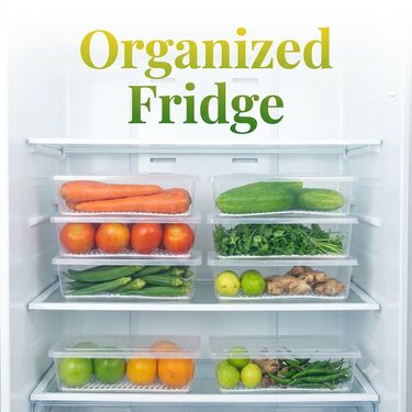 Pack of 6 Veggie Fresh Food Storage Container with Lid & Drain Tray (6VF1)