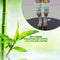 Buy 2 Bamboo Compression Knee Support + Get 2 Free Ankle Support (BKAS)