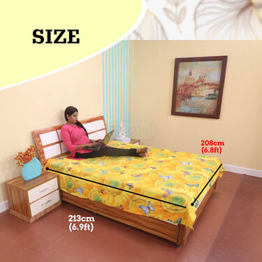 Butterfly Print Double Bed Sheets (DBS6)